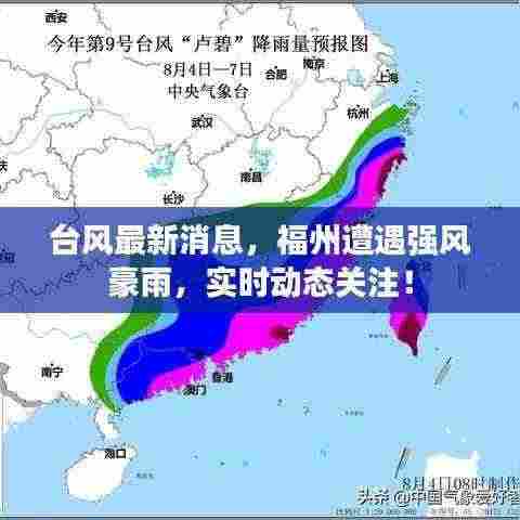 台风最新消息,福州遭遇强风豪雨,实时动态关注!