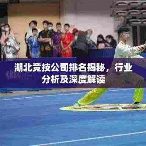湖北竞技公司排名揭秘,行业分析及深度解读