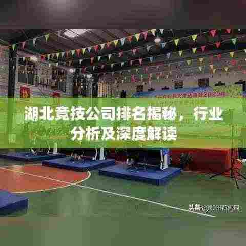 湖北竞技公司排名揭秘,行业分析及深度解读