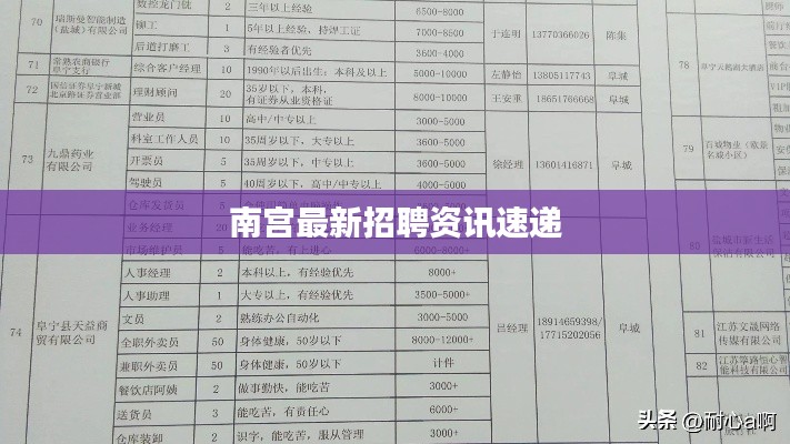 南宫最新招聘资讯速递