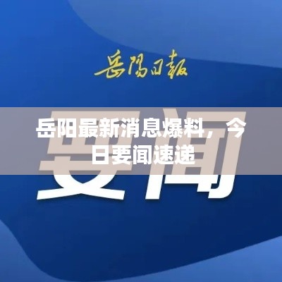 岳阳最新消息爆料,今日要闻速递