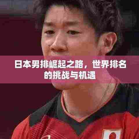 日本男排崛起之路,世界排名的挑战与机遇