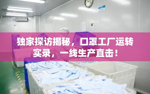 独家探访揭秘,口罩工厂运转实录,一线生产直击!