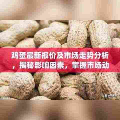 鸡蛋最新报价及市场走势分析，揭秘影响因素，掌握市场动态！