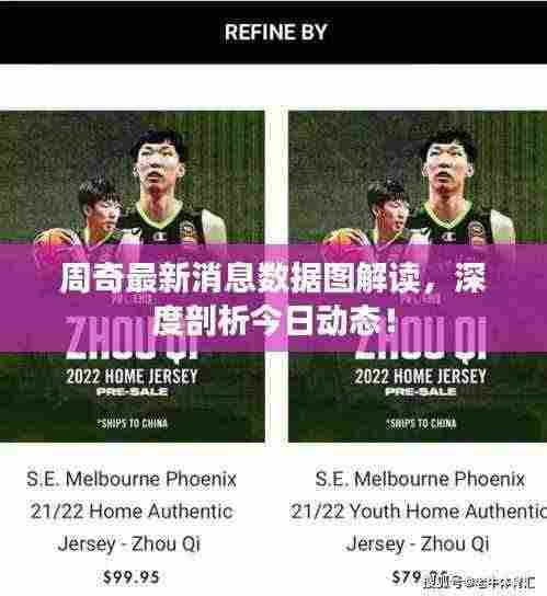 周奇最新消息数据图解读,深度剖析今日动态!