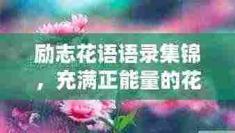 励志花语语录集锦，充满正能量的花语大全