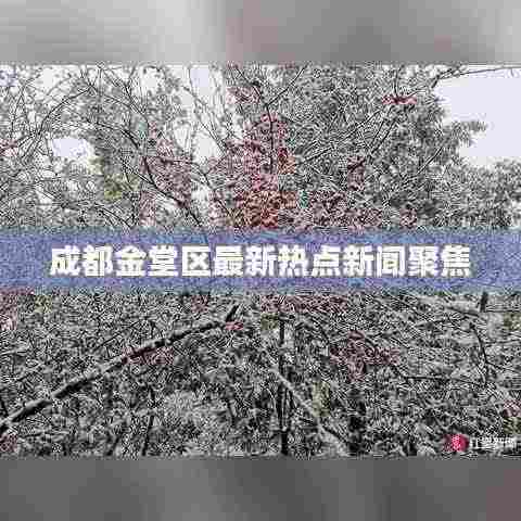 成都金堂区最新热点新闻聚焦