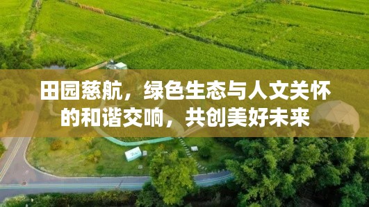 笔走如飞 第4页