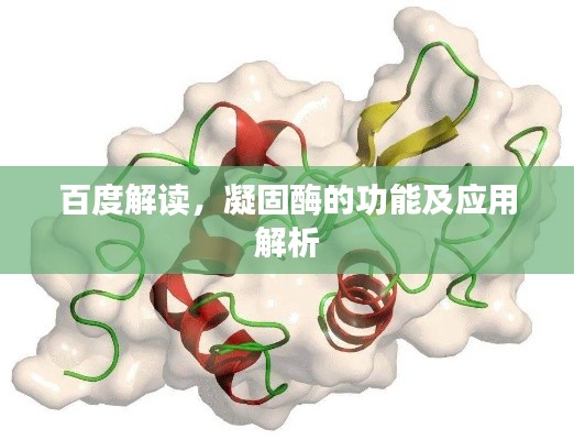 百度解读,凝固酶的功能及应用解析