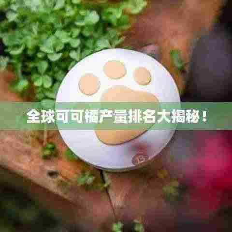 全球可可橘产量排名大揭秘!