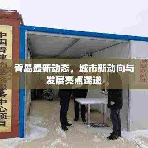青岛最新动态,城市新动向与发展亮点速递