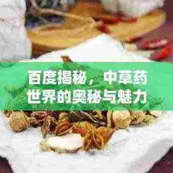 百度揭秘，中草药世界的奥秘与魅力探索