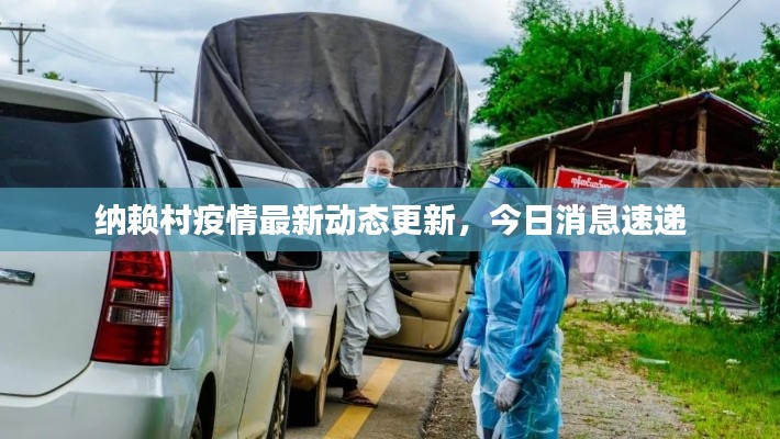 纳赖村疫情最新动态更新,今日消息速递