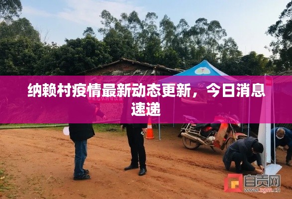 纳赖村疫情最新动态更新,今日消息速递
