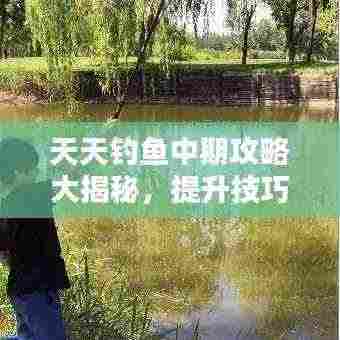 天天钓鱼中期攻略大揭秘,提升技巧与策略最新指南