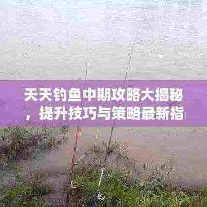 天天钓鱼中期攻略大揭秘,提升技巧与策略最新指南