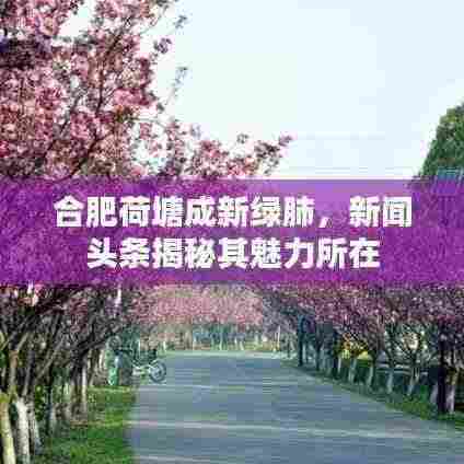 合肥荷塘成新绿肺,新闻头条揭秘其魅力所在