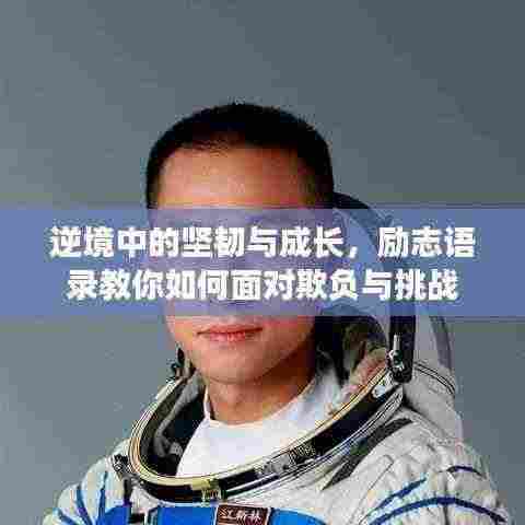 逆境中的坚韧与成长，励志语录教你如何面对欺负与挑战