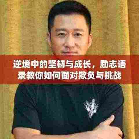 逆境中的坚韧与成长,励志语录教你如何面对欺负与挑战