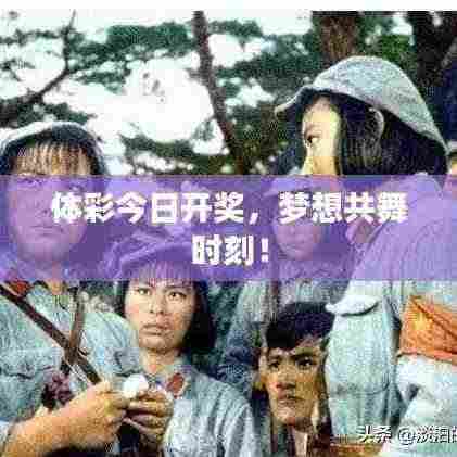 体彩今日开奖,梦想共舞时刻!