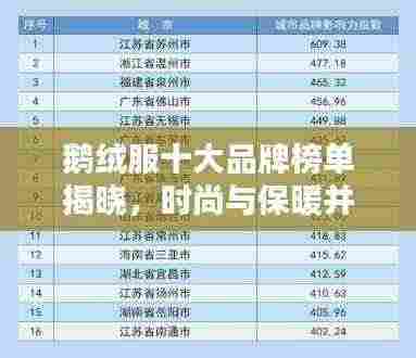 鹅绒服十大品牌榜单揭晓,时尚与保暖并重,完美选择尽在排名前十的鹅绒服!