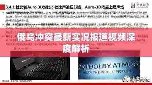 俄乌冲突最新实况报道视频深度解析