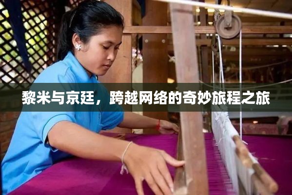 黎米与京廷,跨越网络的奇妙旅程之旅