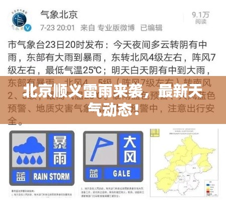 粗枝大叶 第3页