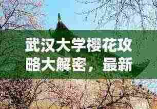 武汉大学樱花攻略大解密,最新观赏指南