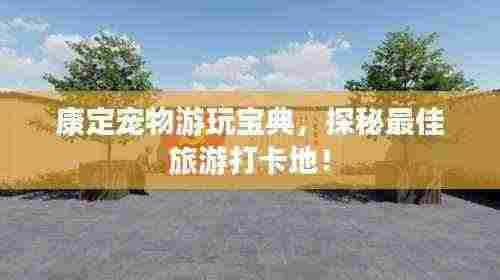 杳无音信 第3页