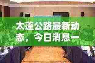 兽聚鸟散 第3页