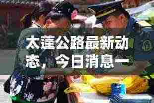 太蓬公路最新动态,今日消息一网打尽