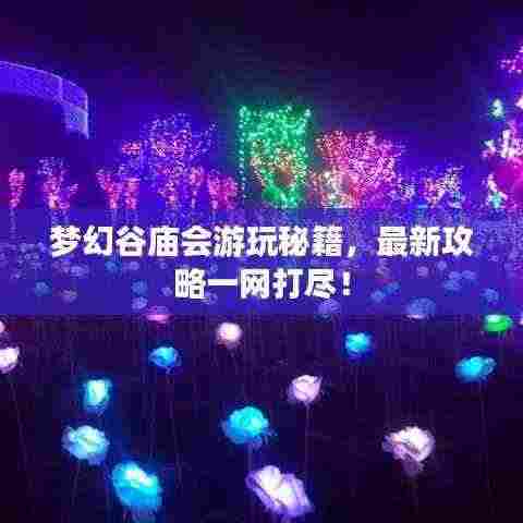 梦幻谷庙会游玩秘籍,最新攻略一网打尽!