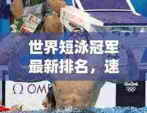 世界短泳冠军最新排名,速度与激情的巅峰对决