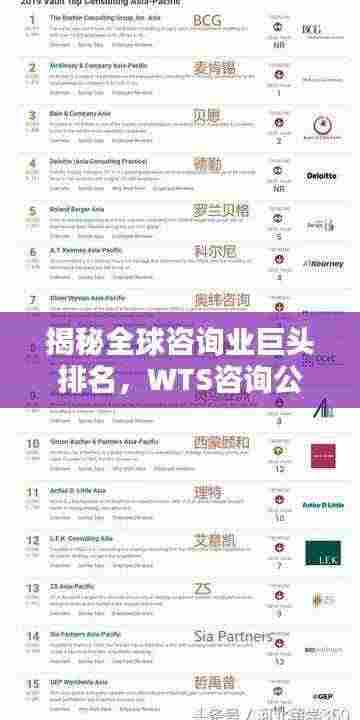 揭秘全球咨询业巨头排名,WTS咨询公司位列前茅