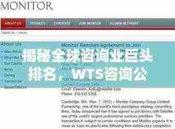 揭秘全球咨询业巨头排名,WTS咨询公司位列前茅