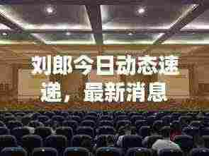 刘郎今日动态速递，最新消息一览