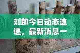 刘郎今日动态速递,最新消息一览