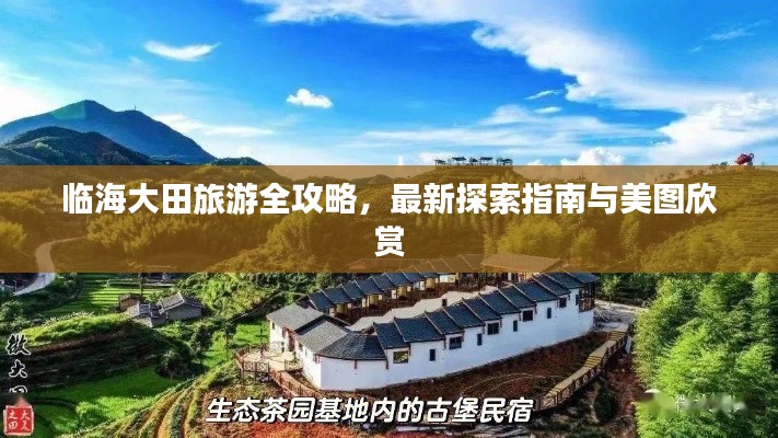 虚张声势 第4页