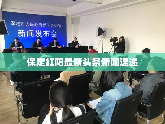 保定红阳最新头条新闻速递