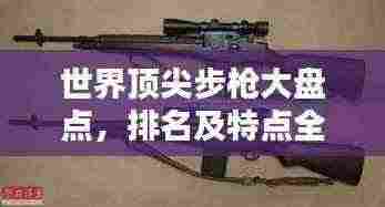 世界顶尖步枪大盘点，排名及特点全解析