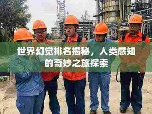 世界幻觉排名揭秘，人类感知的奇妙之旅探索