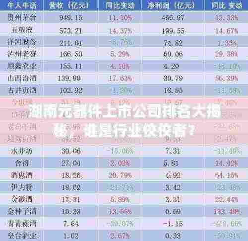 湖南元器件上市公司排名大揭秘,谁是行业佼佼者?