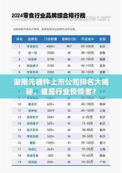 湖南元器件上市公司排名大揭秘,谁是行业佼佼者?