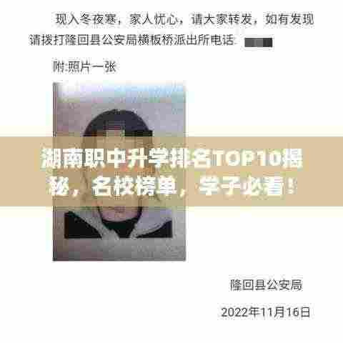 湖南职中升学排名TOP10揭秘,名校榜单,学子必看!