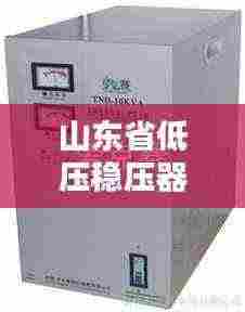 山东省低压稳压器公司排名揭晓,权威榜单,不容错过!
