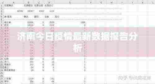 济南今日疫情最新数据报告分析