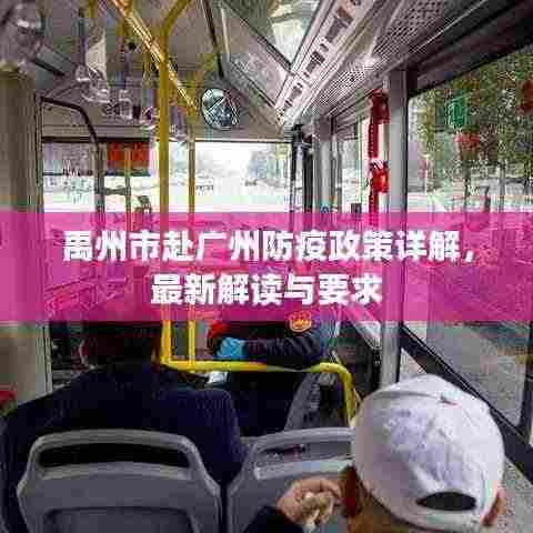 禹州市赴广州防疫政策详解,最新解读与要求