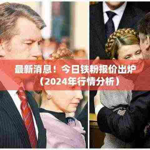 最新消息!今日铁粉报价出炉(2024年行情分析)