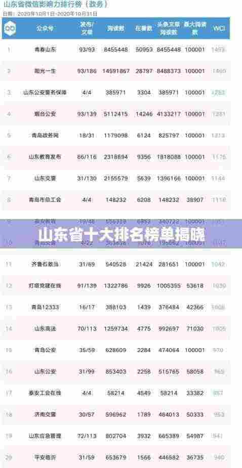 山东省十大排名榜单揭晓